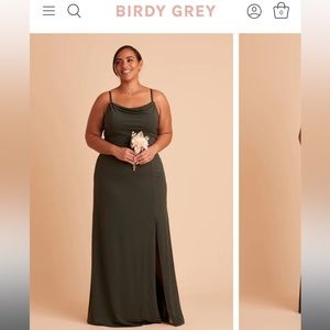 Birdy Grey Floor length Olive Crepe gown
